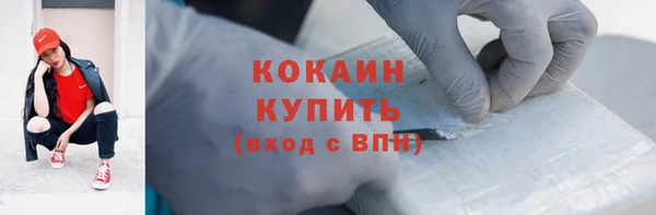 индика Алексеевка