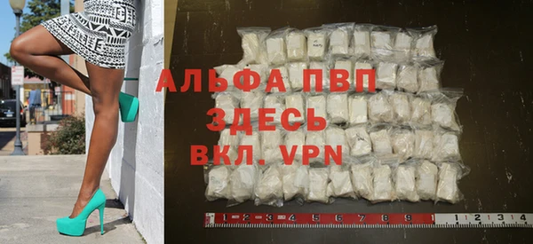 амф Новодвинск